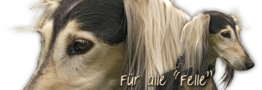 Spardose Saluki (Persischer Windhund) #6